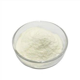 Le bêta 1,3 d glucane peut-il être utilisé en nutrition sportive ?
